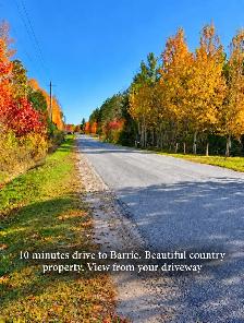 Springwater Country Living $1525/month with Outdoor Space - Photo 2