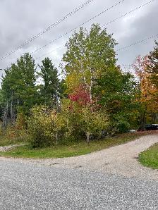 Springwater Country Living $1525/month with Outdoor Space - Photo 21