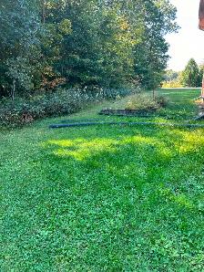 Springwater Country Living $1525/month with Outdoor Space - Photo 22