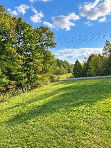 Springwater Country Living $1525/month with Outdoor Space - Photo 23