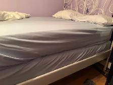 $500 OBO 2 DOUBLE size mattress’ & 1 bedframe bundle . - Photo 2