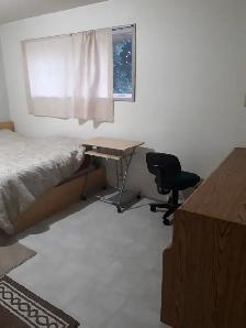 big room big window utilities included avail. now kelowna - Photo 2