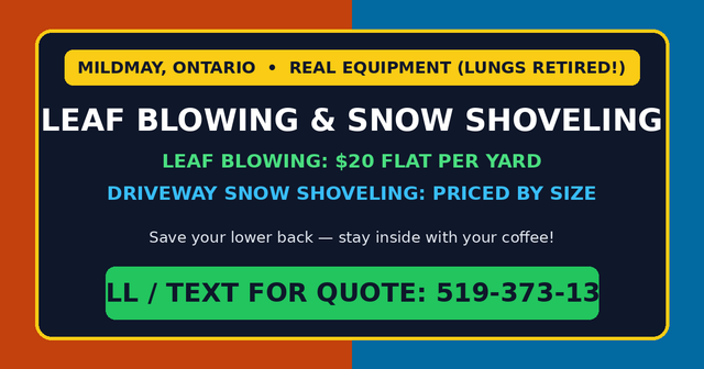 $20 Yard Leaf Blowing & Driveway Snow Shoveling in Mildmay