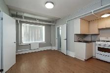 renovated one bedroom, College and Spadina - ID 1686 - Photo 3