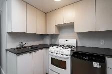 renovated one bedroom, College and Spadina - ID 1686 - Photo 4