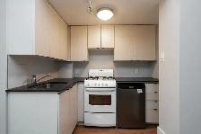 renovated one bedroom, College and Spadina - ID 1686 - Photo 5