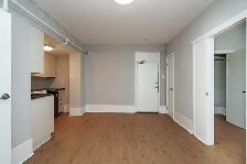renovated one bedroom, College and Spadina - ID 1686 - Photo 6