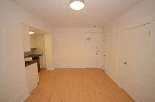renovated one bedroom, College and Spadina - ID 1686 - Photo 11
