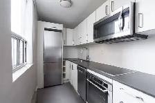 Renovated Bachelor, King and Dufferin - ID 792 - Photo 2