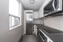 Renovated Bachelor, King and Dufferin - ID 792 - Photo 3