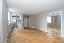 Renovated Bachelor, King and Dufferin - ID 792 - Photo 4
