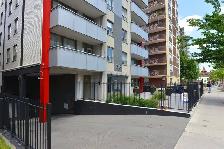Renovated Bachelor, King and Dufferin - ID 792 - Photo 10