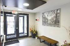 Renovated Bachelor, King and Dufferin - ID 792 - Photo 11
