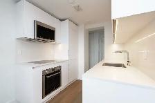 Renovated One bedroom, King and Dufferin - ID 4777 - Photo 9