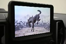 2024 Ford Bronco Sport BIG BEND HEATED SEATS | BACKUP CAMERA | P - Photo 11
