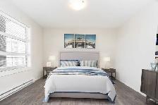 The Boardwalk - 1 Bed - Levine D - Winnipeg - Photo 8