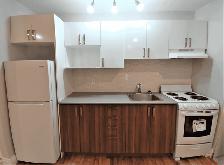 Bachelor Unit for Rent –1404 Rosenthal, Ottawa - Photo 4