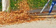 Leaf Cleanups