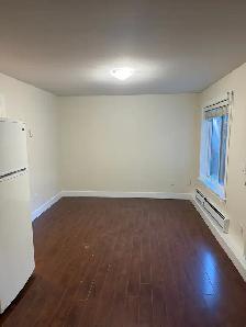 2 Bed Basement Suite Fleetwood - All Utilities & WiFi Included - Photo 2