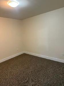 2 Bed Basement Suite Fleetwood - All Utilities & WiFi Included - Photo 4