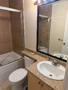 2 Bed Basement Suite Fleetwood - All Utilities & WiFi Included - Photo 7