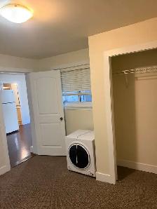 2 Bed Basement Suite Fleetwood - All Utilities & WiFi Included - Photo 12