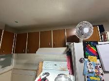 free kitchen upper cabinets excellent condition - Photo 2