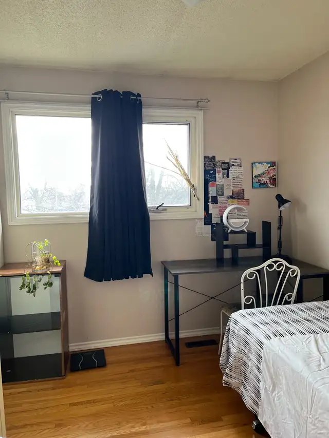 ROOM  for Rent at Maples Area