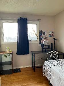 ROOM  for Rent at Maples Area