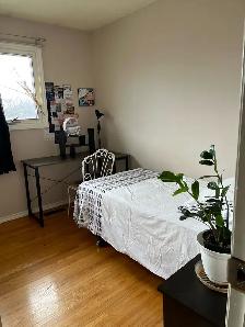 ROOM  for Rent at Maples Area - Photo 2