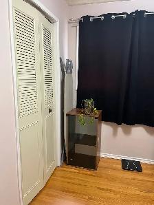 ROOM  for Rent at Maples Area - Photo 3