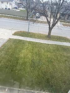 ROOM  for Rent at Maples Area - Photo 4