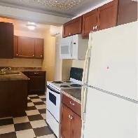 Lakefront 1-Bdrm Apartment Nov 1st ALL Utilities - Photo 10