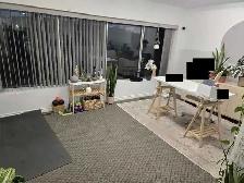 Commercial Plaza Office for Lease - 550 Sq Ft, Unit 13 Upper - Photo 6
