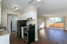 The Westport Apartments - Bachelor available at 1021 - 4 Ave, Ne - Photo 6