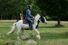Legacy  gypsy 2 ans et demi