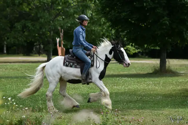 Legacy  gypsy 2 ans et demi