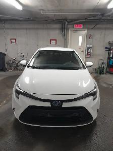 2023 Toyota Corolla Hybrid AWD