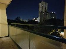 1-Bedroom Condo on Roslyn Road $1,495, All Utilities Incl