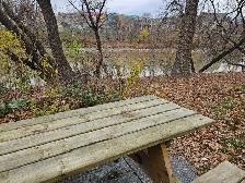 1-Bedroom Condo on Roslyn Road $1,495, All Utilities Incl - Photo 9