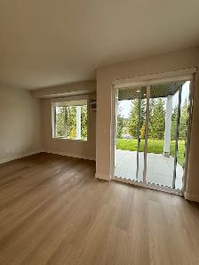 BRAND NEW Rentals in Blind Bay - Move In TODAY and Get 1 MONTH F - Photo 5