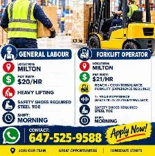 General labour in Milton