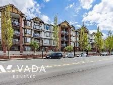 Paddington Station 1 BR APT Rental 237-5660 201A St Langley City - Photo 2