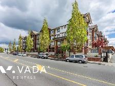 Paddington Station 1 BR APT Rental 237-5660 201A St Langley City - Photo 3