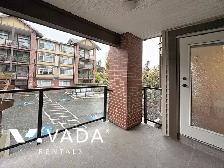 Paddington Station 1 BR APT Rental 237-5660 201A St Langley City - Photo 9