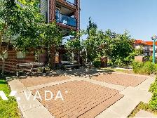 Paddington Station 1 BR APT Rental 237-5660 201A St Langley City - Photo 20