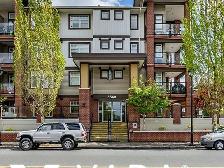 Paddington Station 1 BR APT Rental 237-5660 201A St Langley City - Photo 24