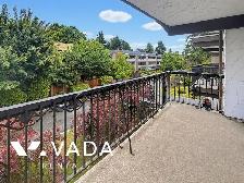 Casa Del Rey 1 BR APT Rental 201-721 Hamilton St New Westminster - Photo 4