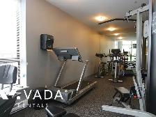 News 2 BR APT Rental 905-833 Agnes St New Westminster: VADA - Photo 17