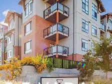 Atrium 1 BR APT Rental 106-19945 Brydon Cr Langley: VADA - Photo 11